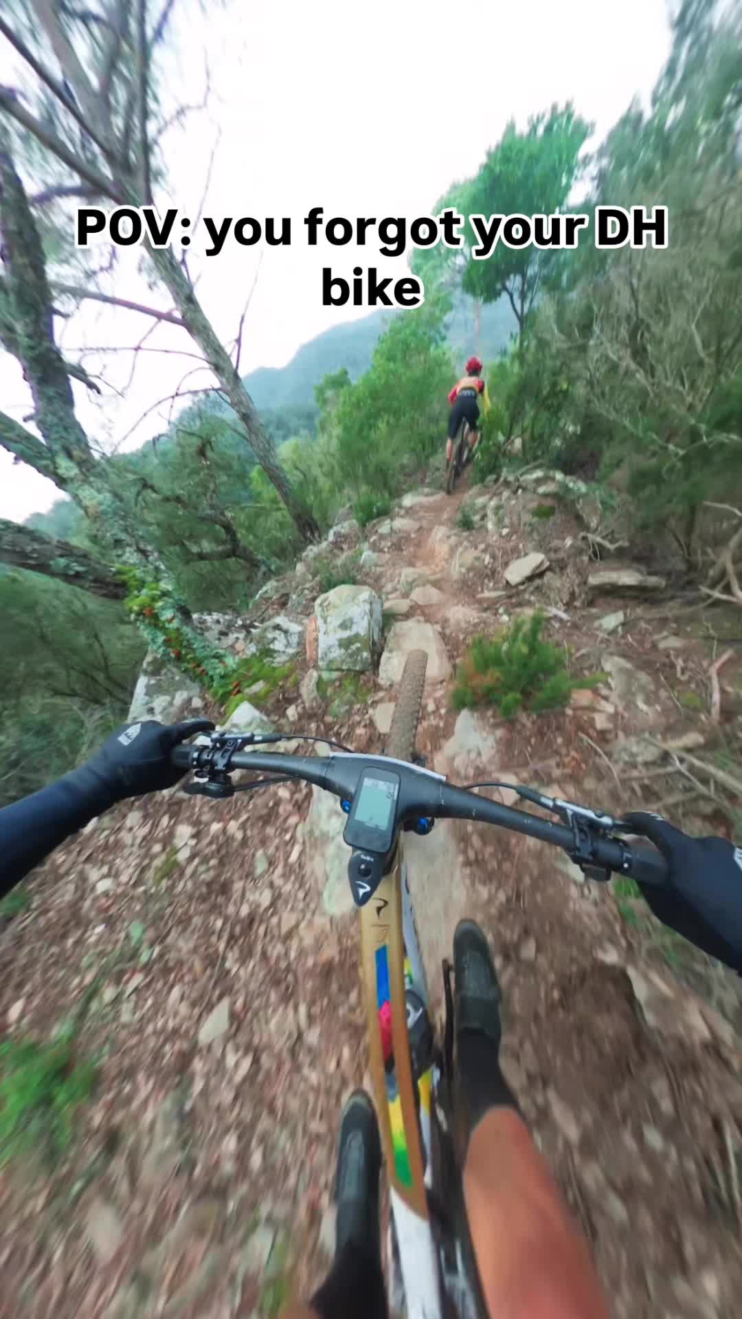 @Pol Tarrés Martrat