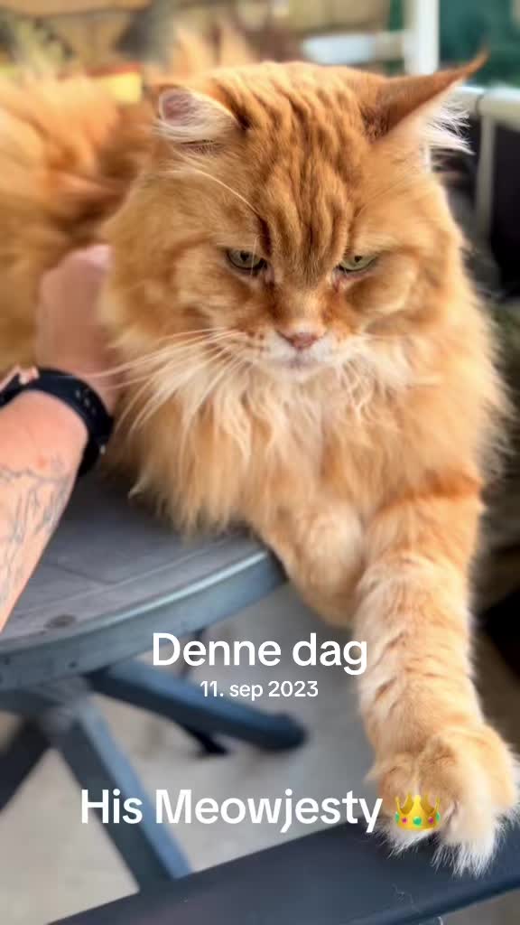 @GithaNomie