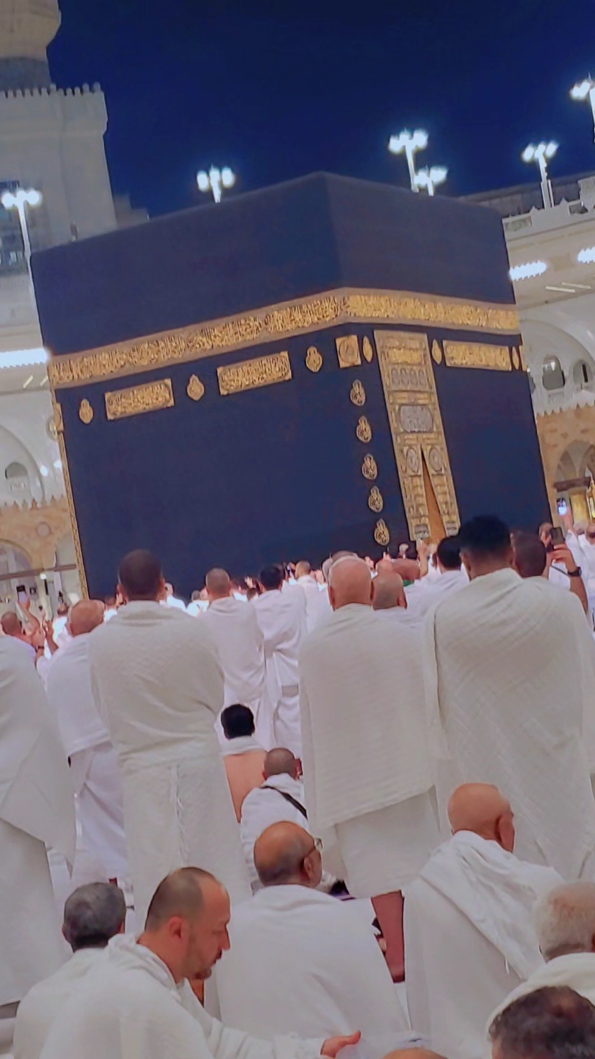 @❖☆شــبــل مــــســعـود₇₁₁☆ ᵳ๗❖