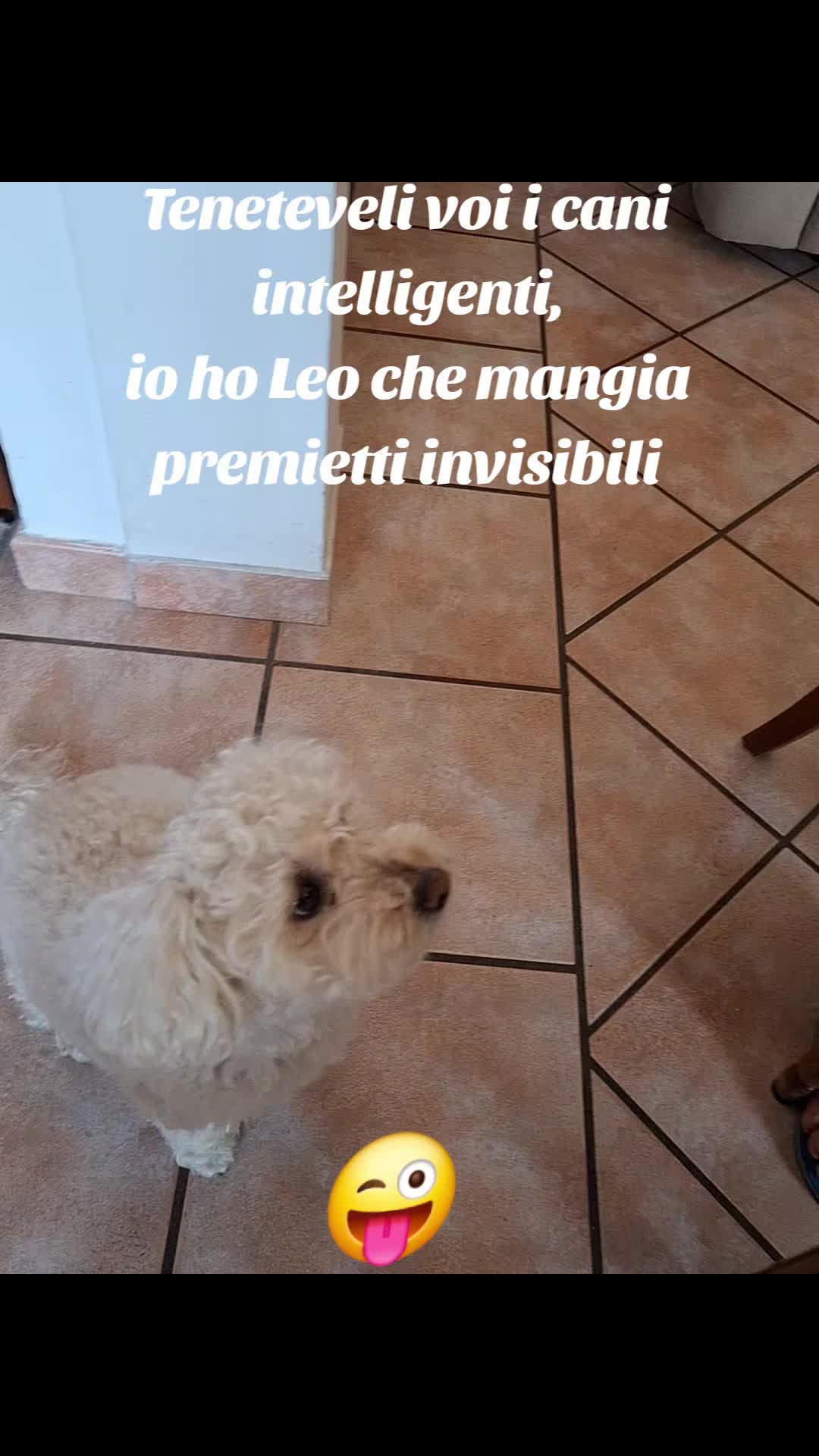 @m@rt&n
