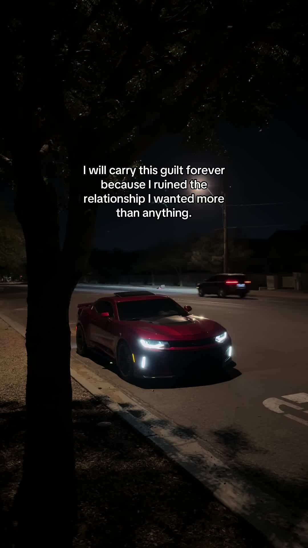 @reza.zl1