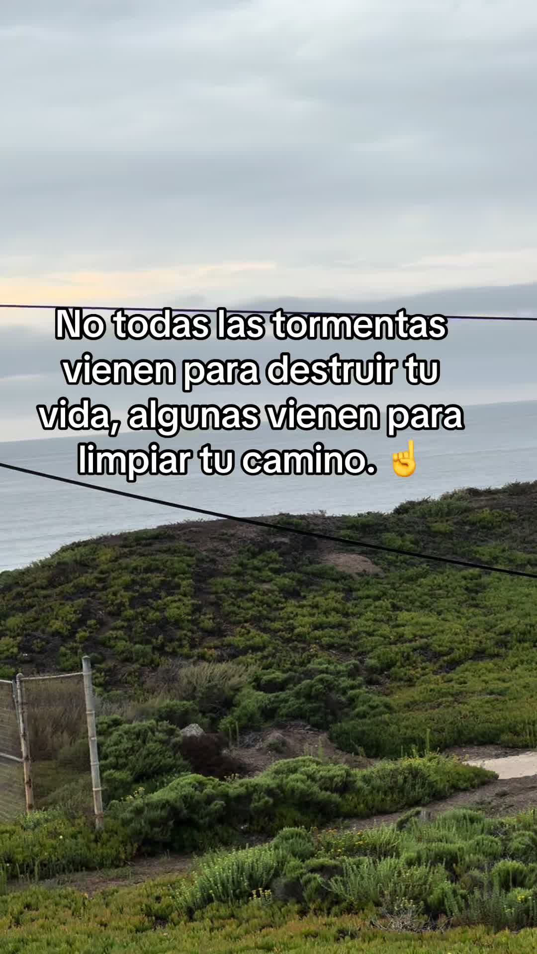 @LaMari