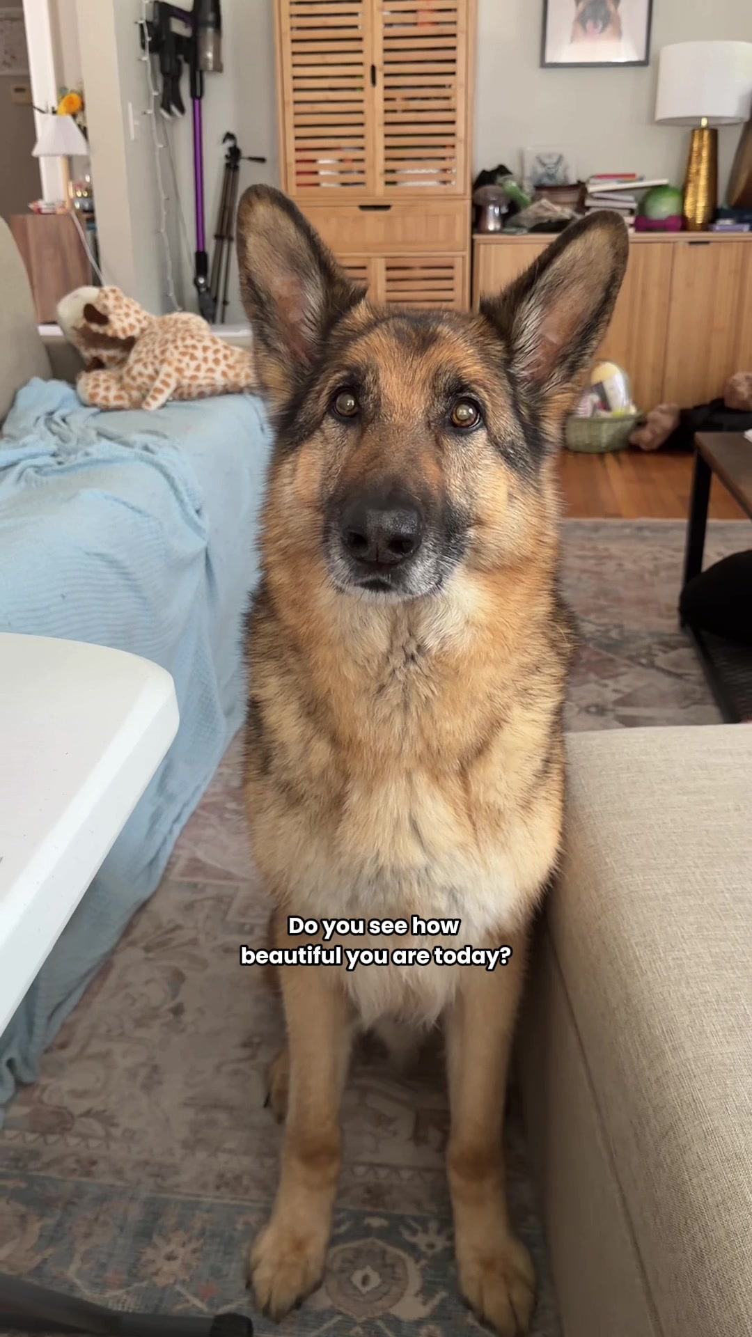 @Best Boy Benson