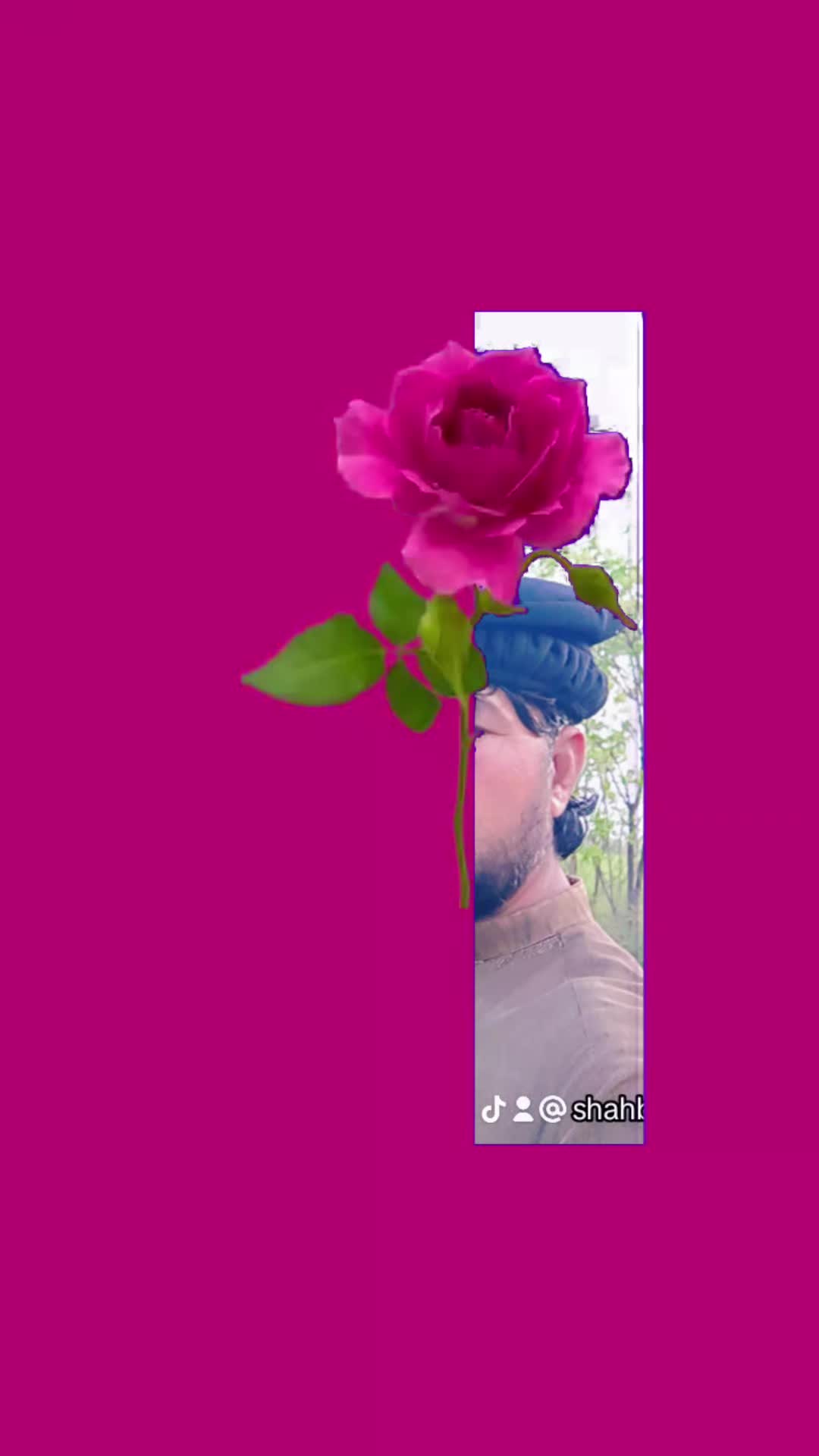 @Shahbazkhan💫🌟✨💥🔥