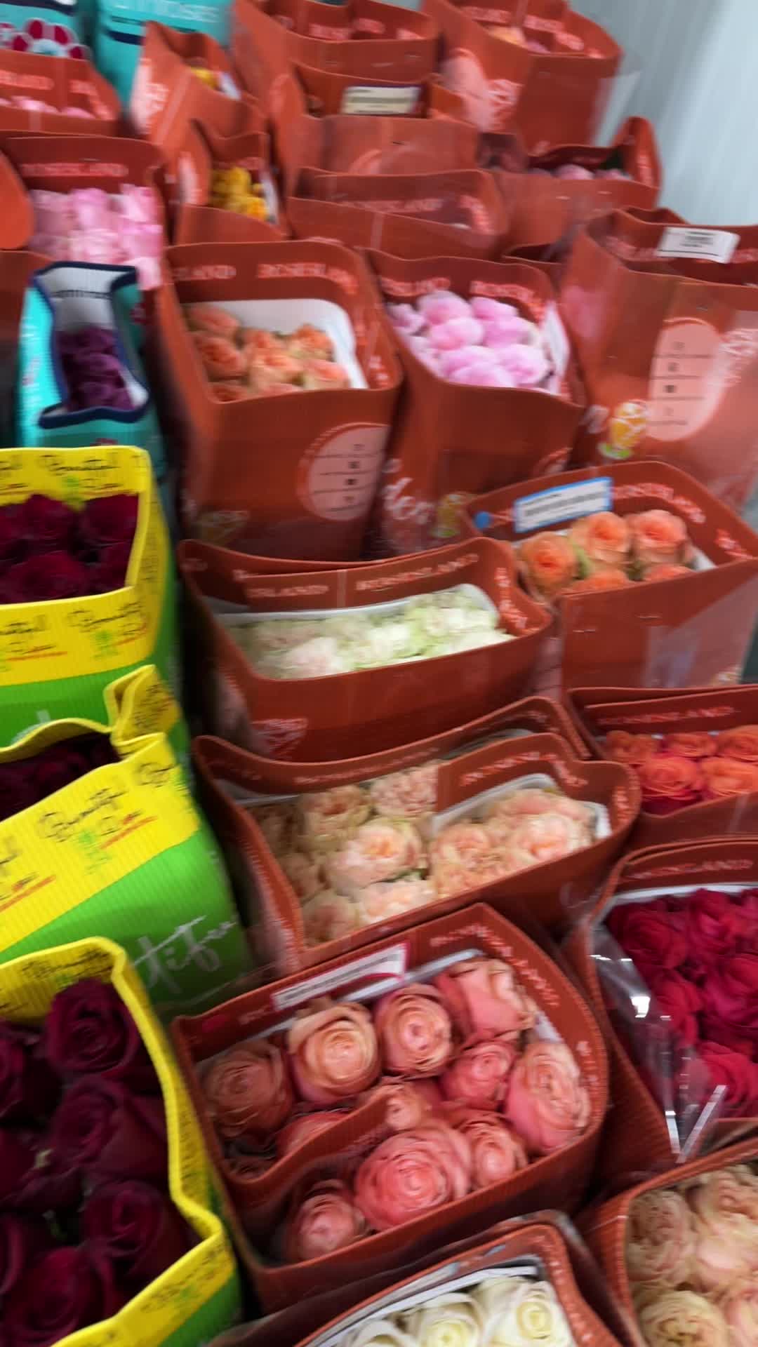 @Casconefiori
