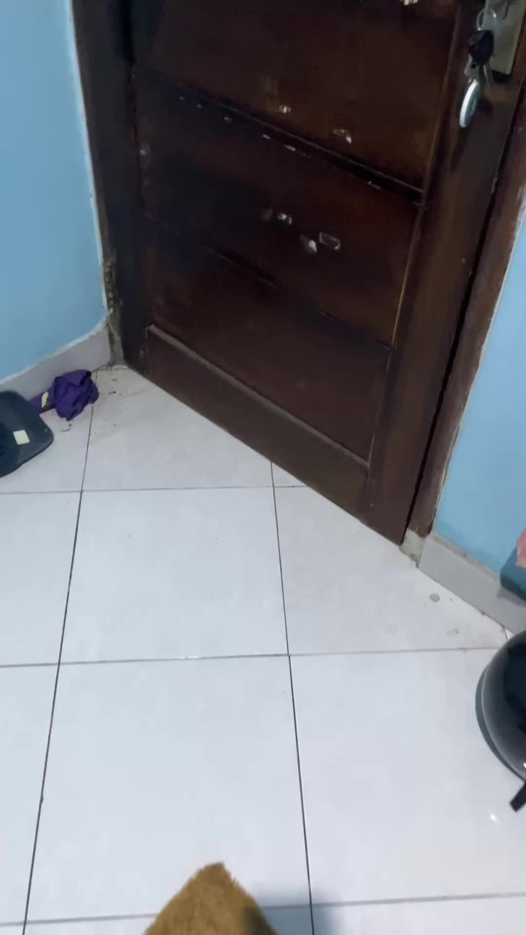 @shauttysmayer_
