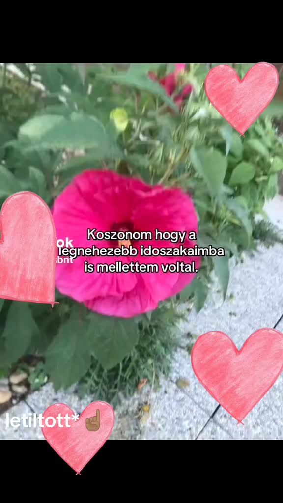 @Brigi baba