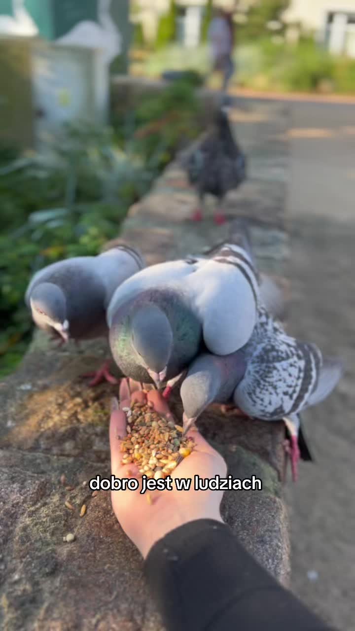 @๐๐๐๐๐ | ๐๐๐๐๐๐