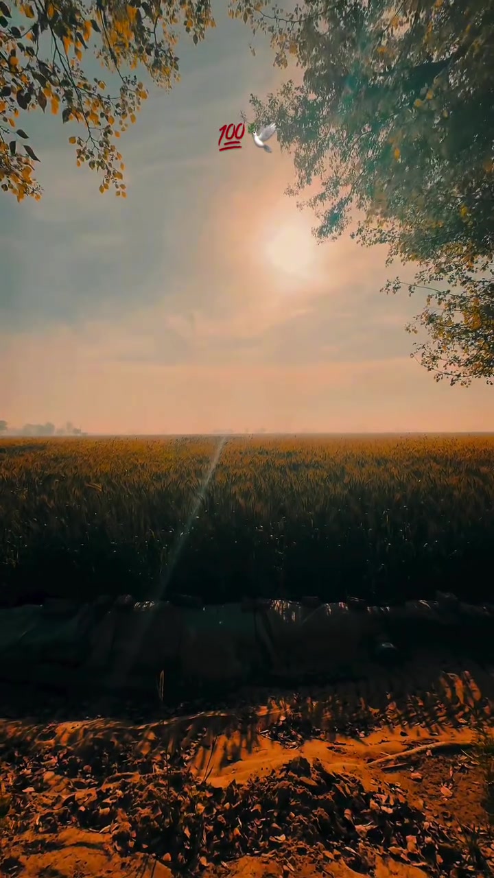@ਓਹ ਕਹਿੰਦਾ 🌾