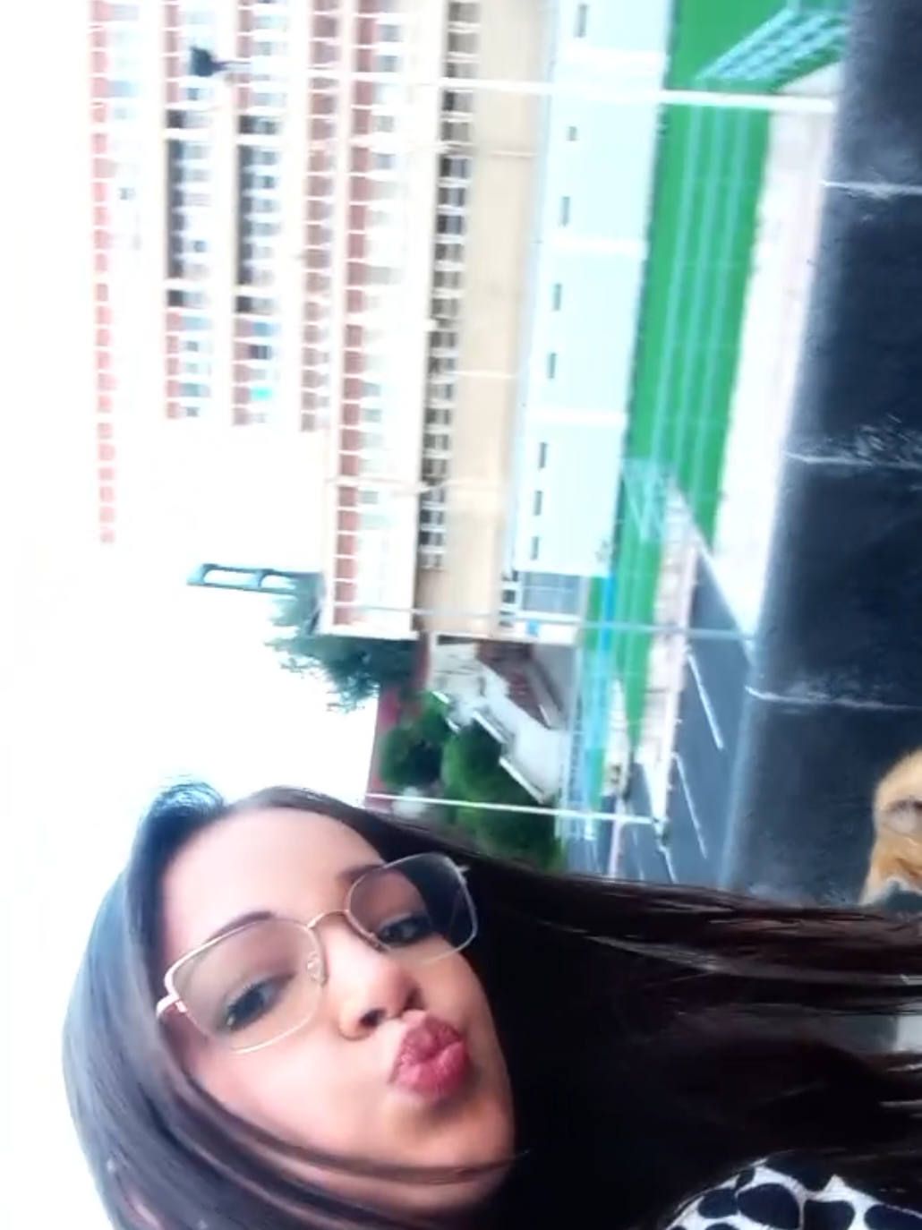 @POMPOM ❤💙