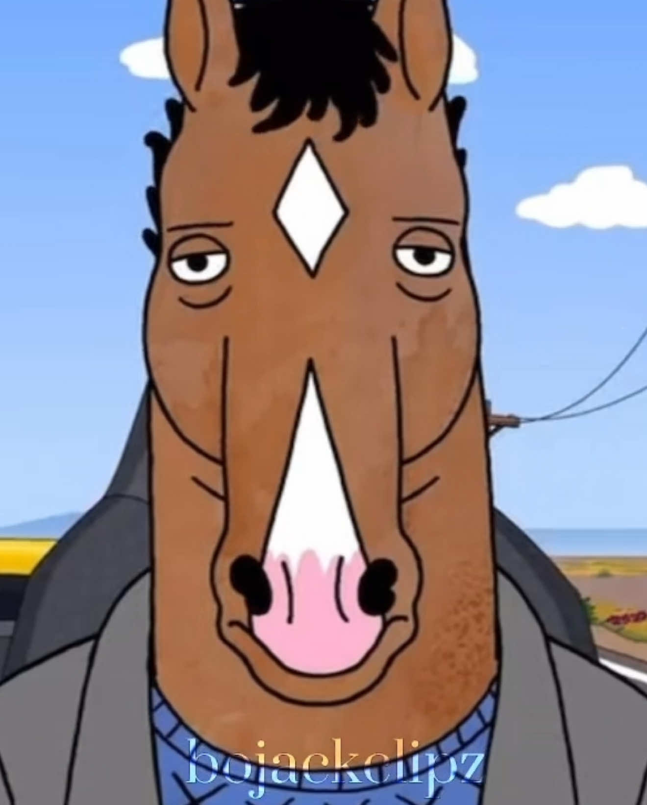 @Bojack clipz