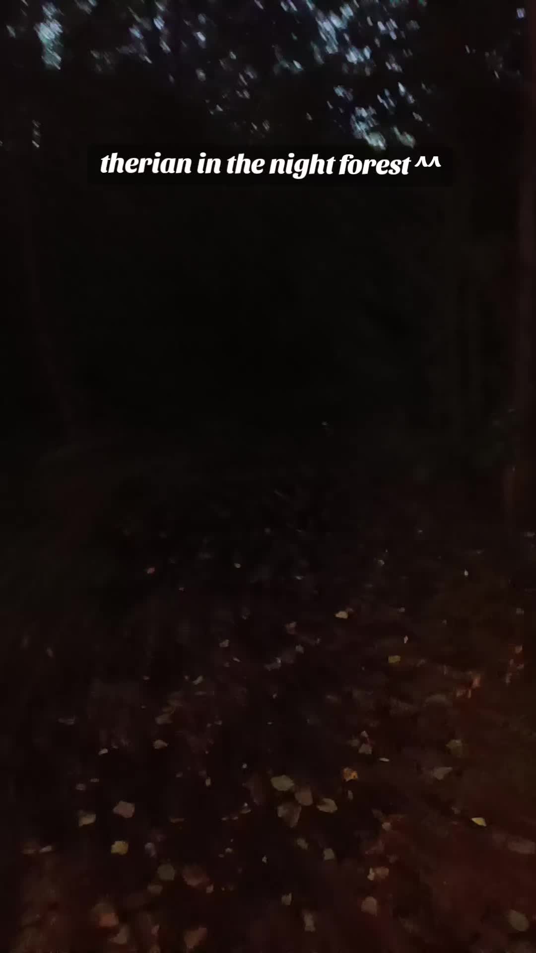 @¡✮ⳑⲓⳋⲏⲧⲛⲓⲛⳋ ✮¡ 🌀