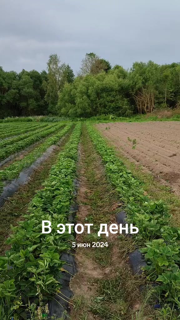 @Рождённые в деревне