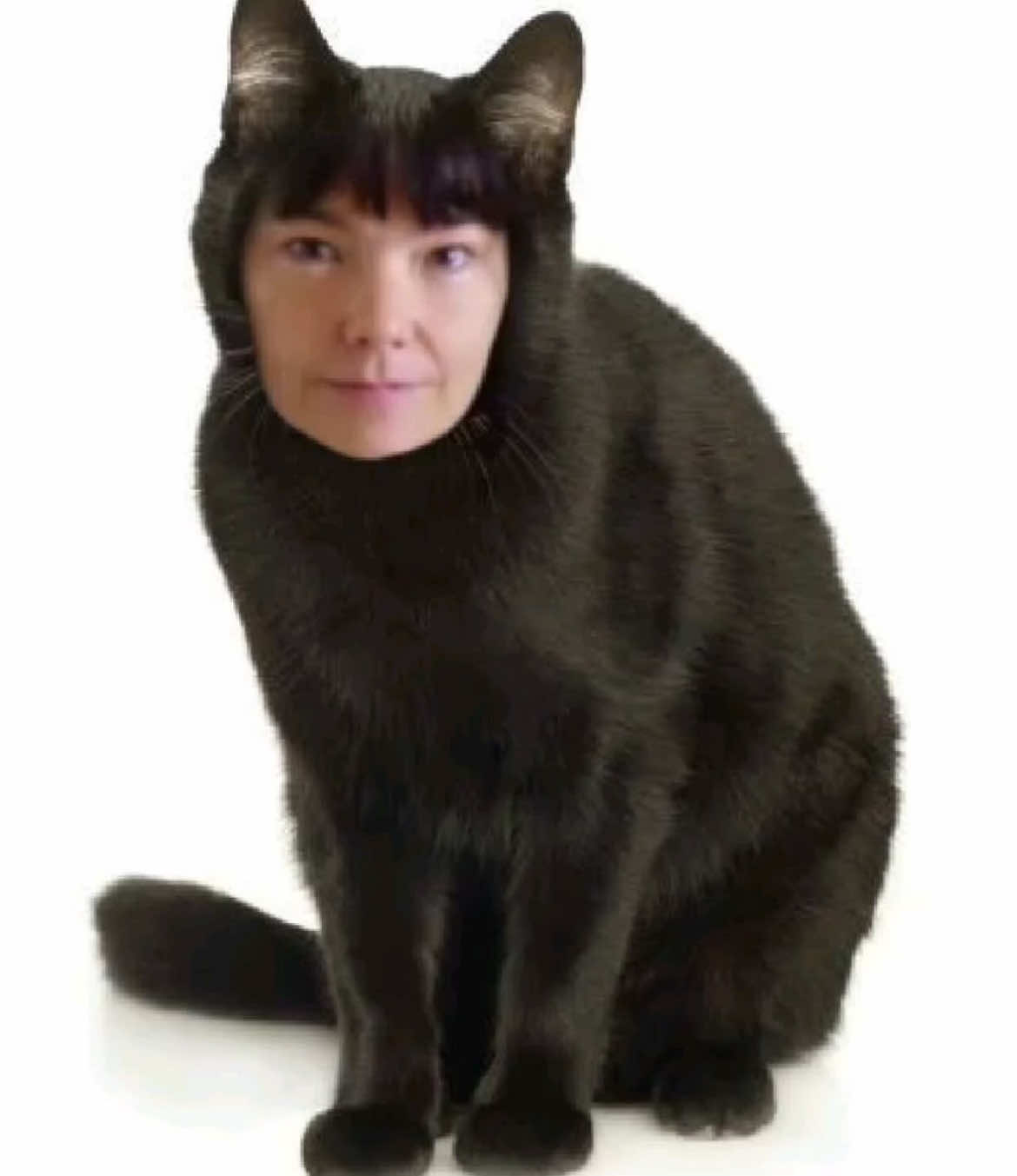 @ilovebjork6969