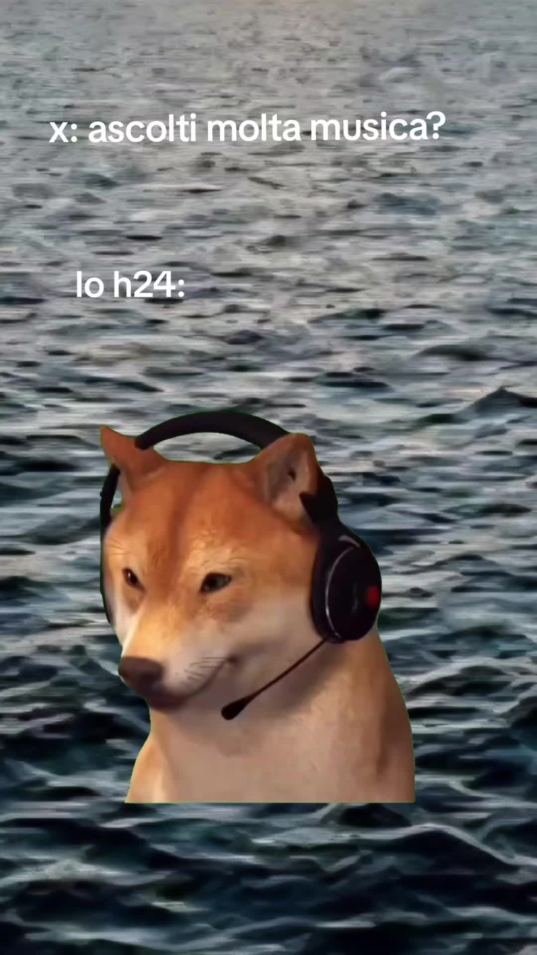 @LeoCappe