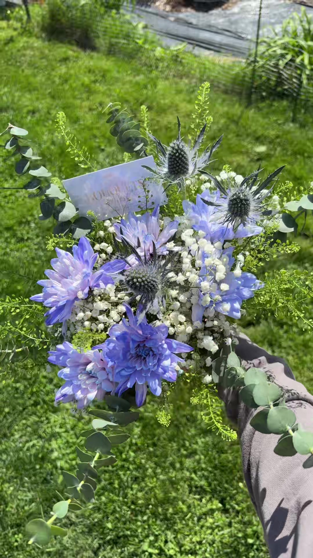 @𝔹𝕠𝕦𝕢𝕦𝕖𝕥𝕤 𝕓𝕪 𝕋𝕠𝕤𝕙