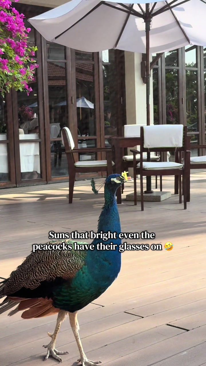 @Tillie Murphy