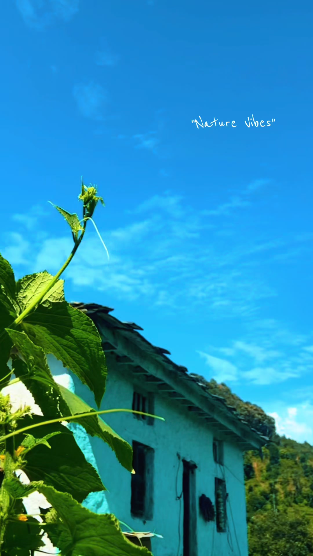 @gopalsinghraja