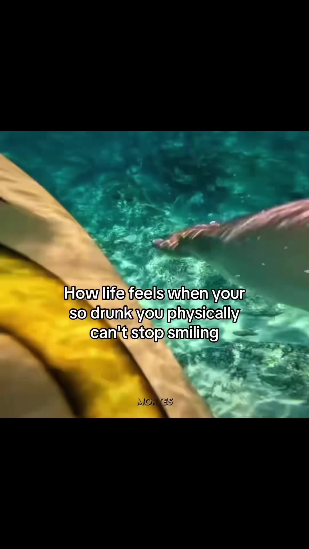 @beer_man73