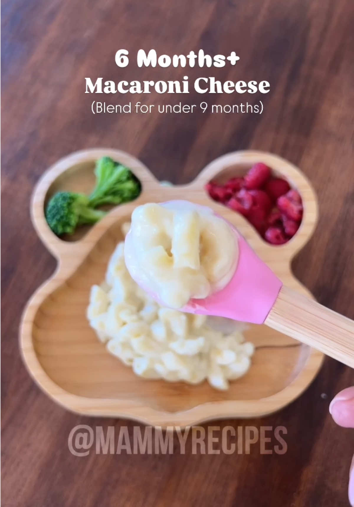 @Mammy Recipes (Anita Arora)