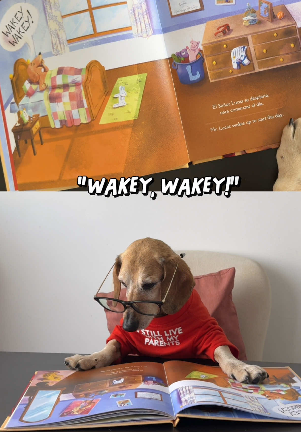 @Lucas The Dog