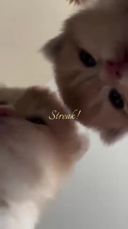 @ 