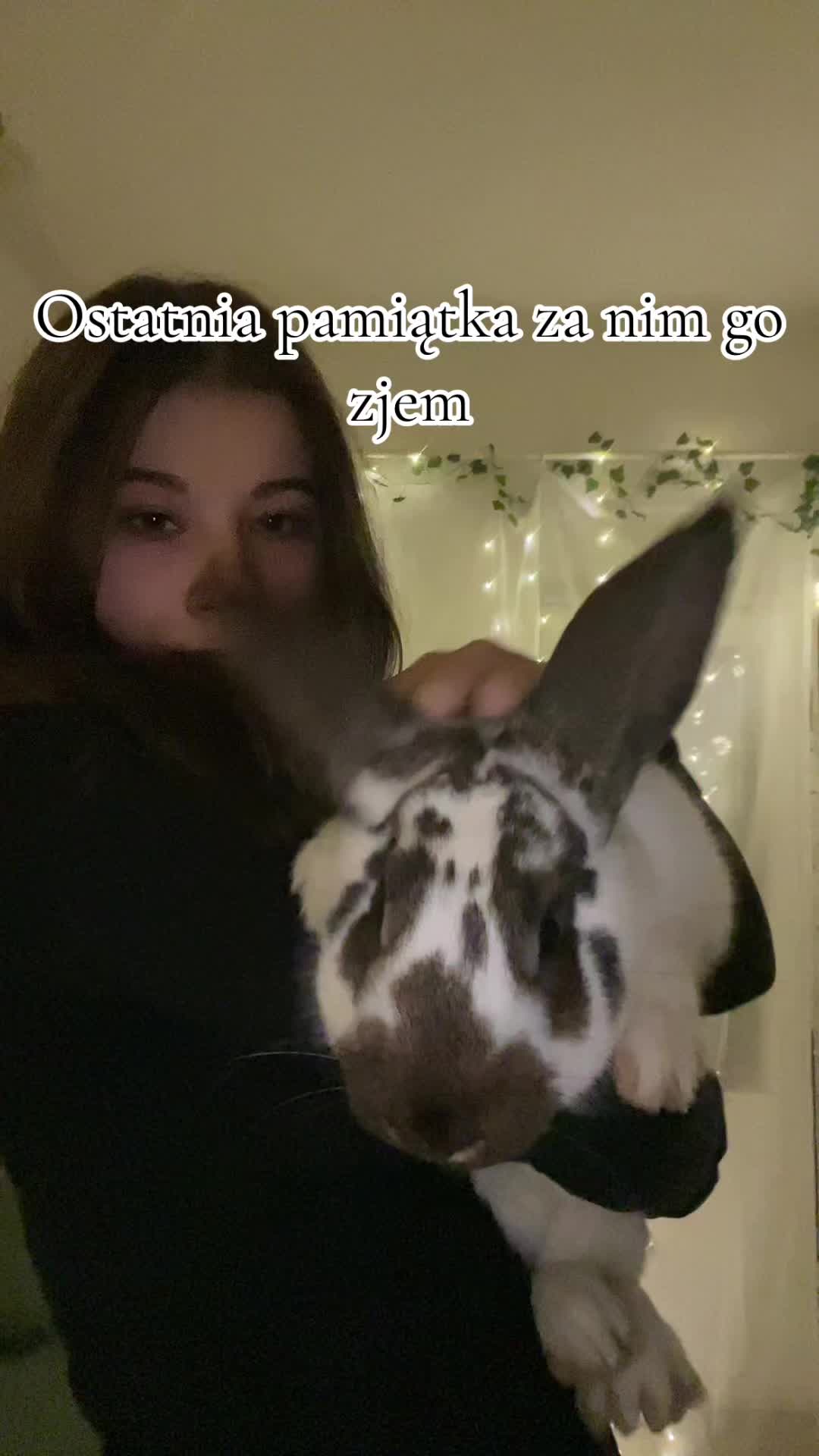 @loleksmolek