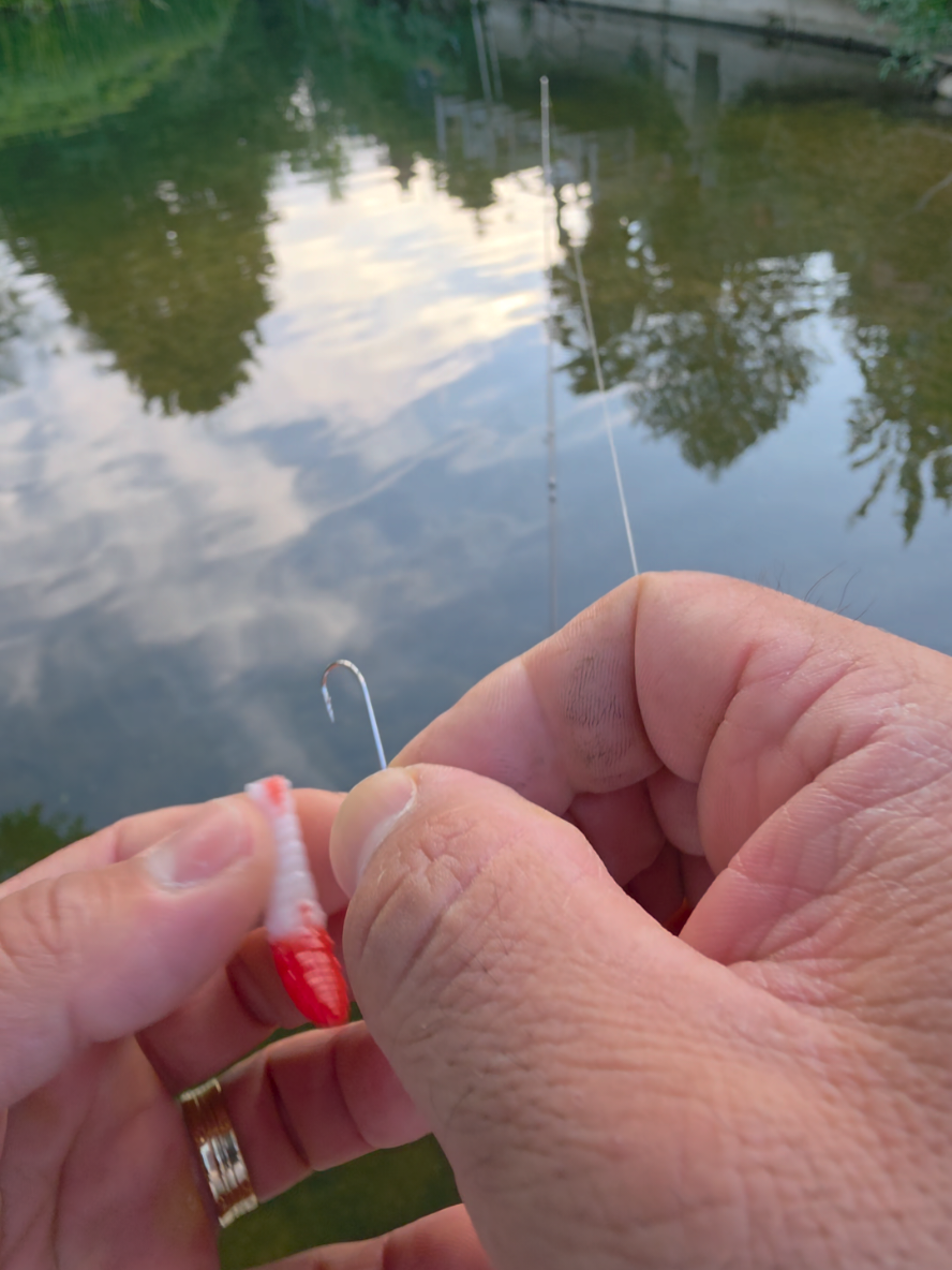 @BF Angler