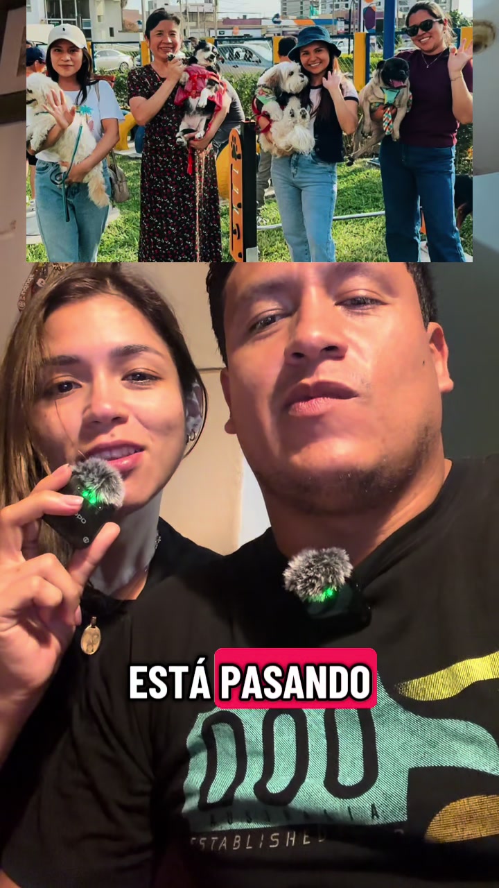 @Mickysabecosas