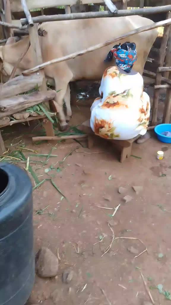@Tafuta Tufanane#