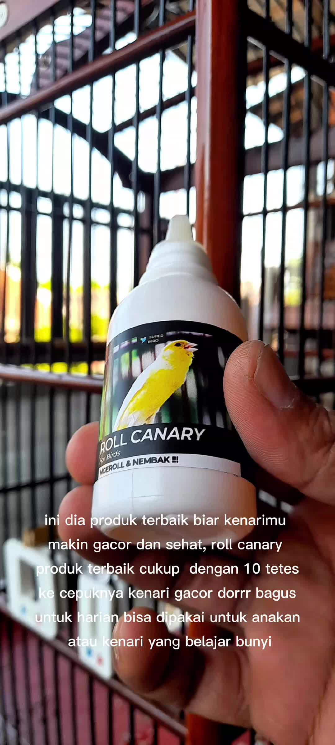 @IFAN STONE