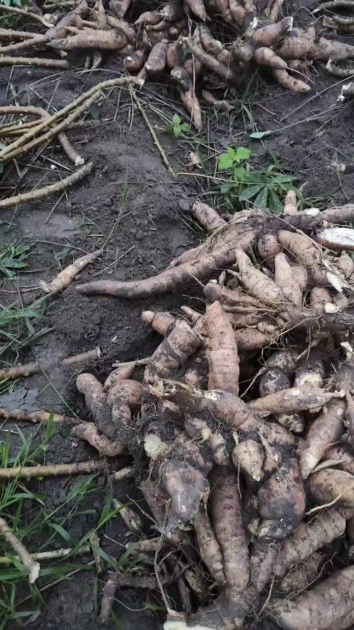 @Anh Ba. 70 🚜🚜