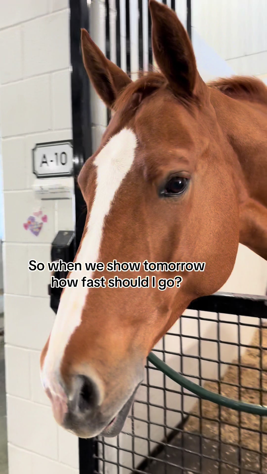 @EM Equestrian