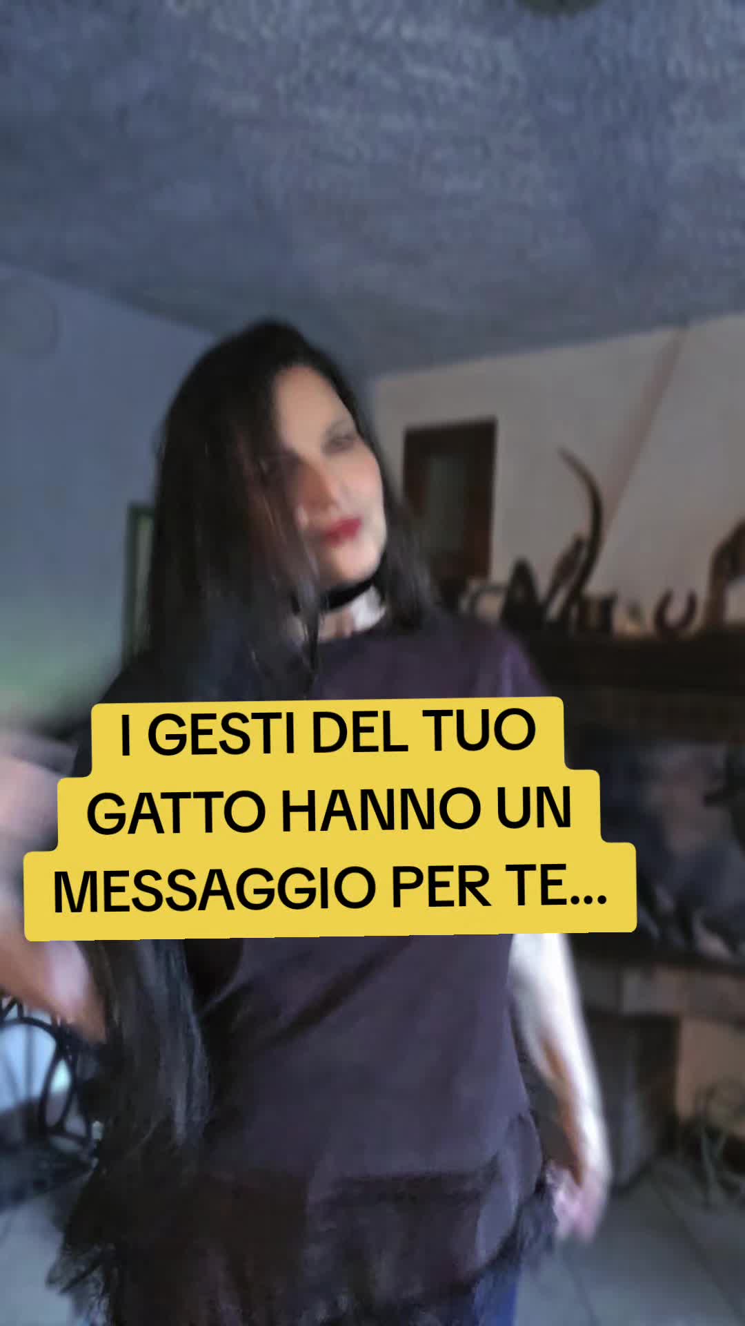 @Monya Foderá