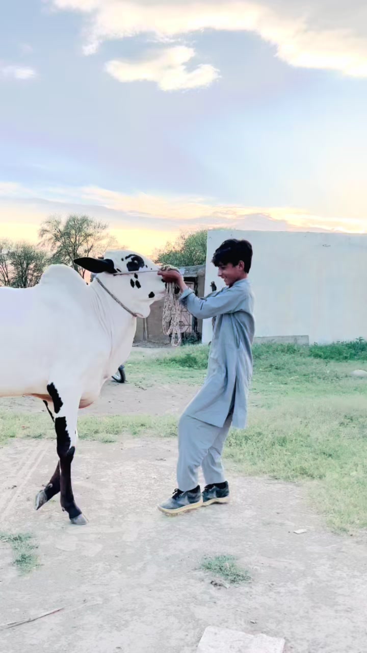 @HassAn Malik..❤️