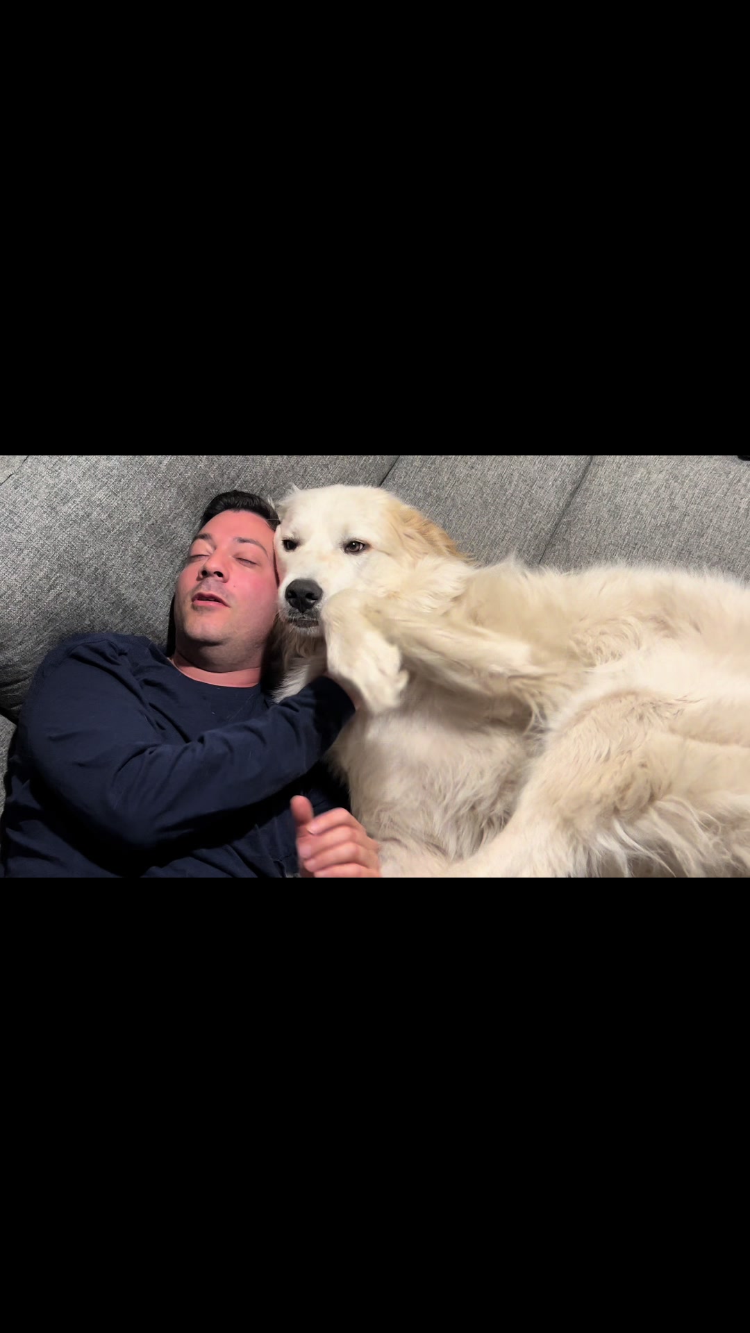 @PyreneesDogs