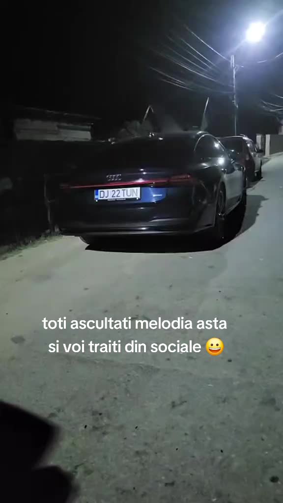 @Dani mocanu regele României