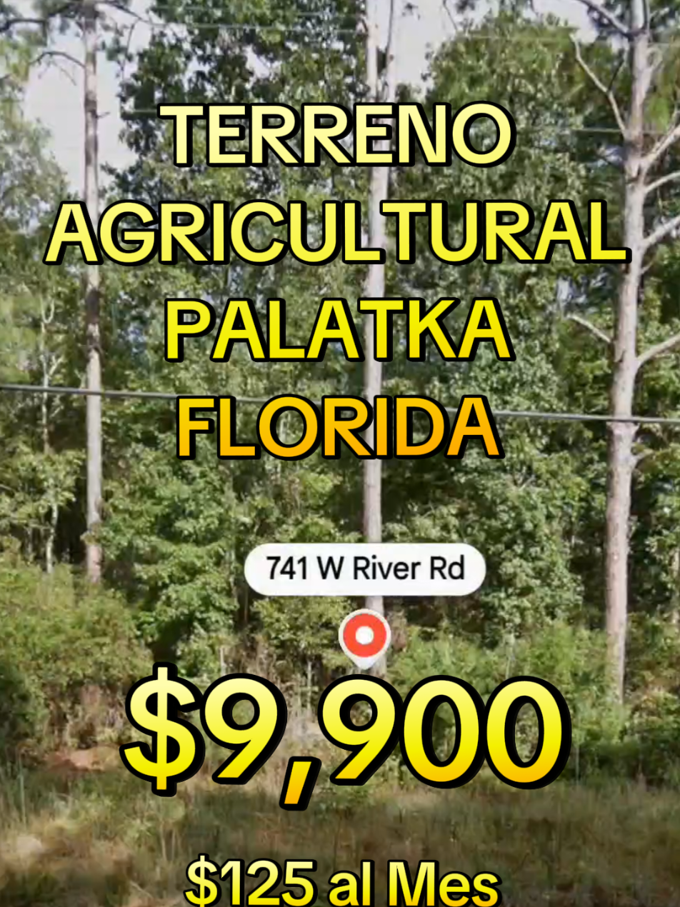 @TerraTrust llc