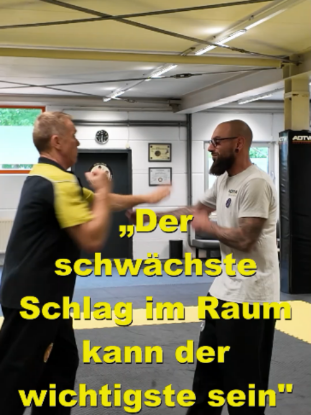 @Sifu Martin Hofmann