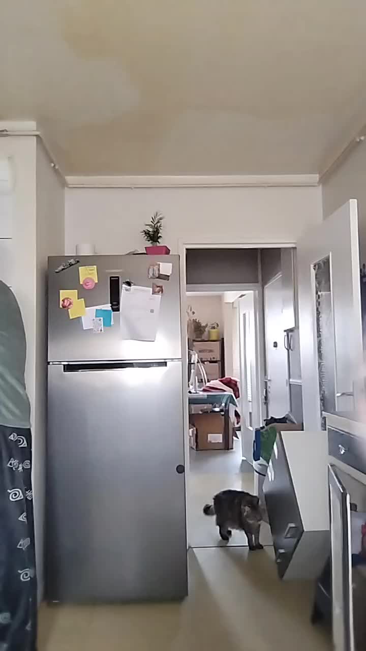 @Corilys 63