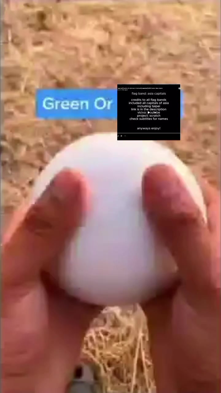 @fake grox