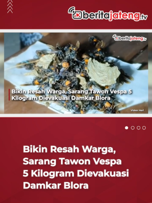 @Beritajateng.TV