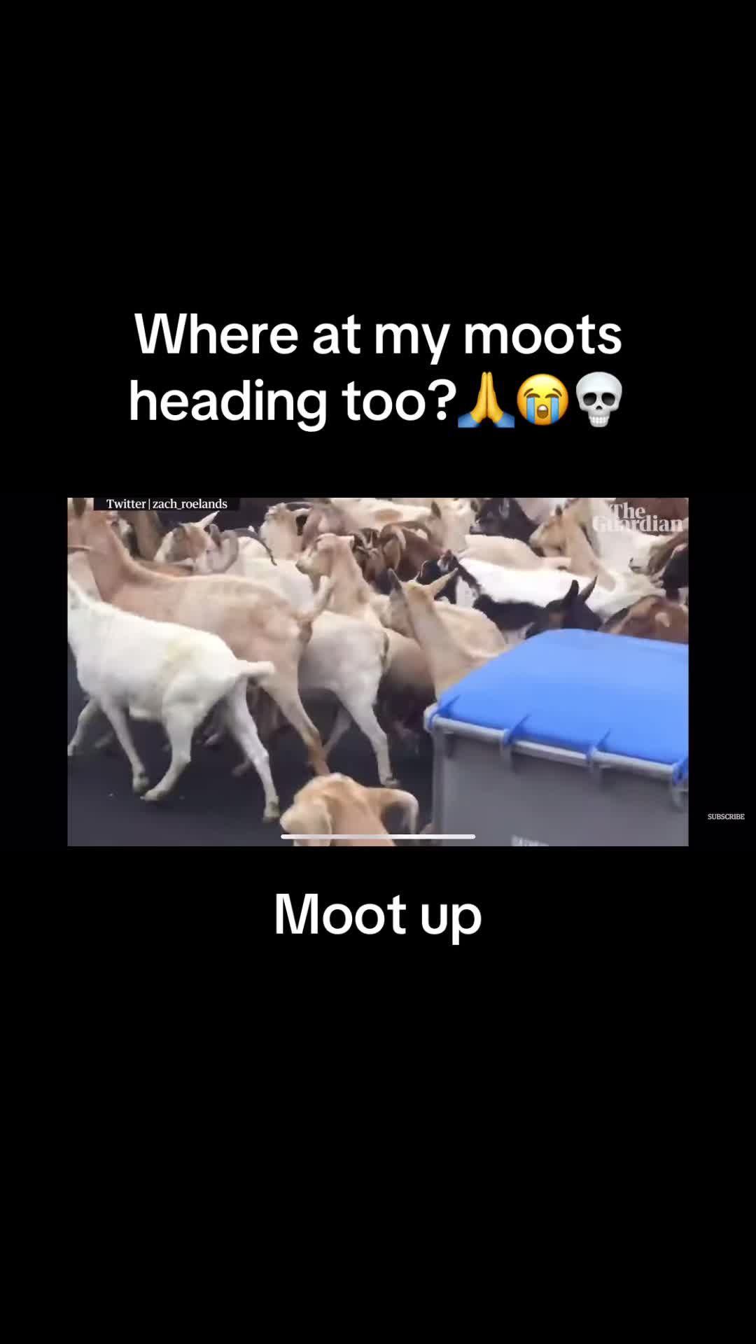 @Yappasaur