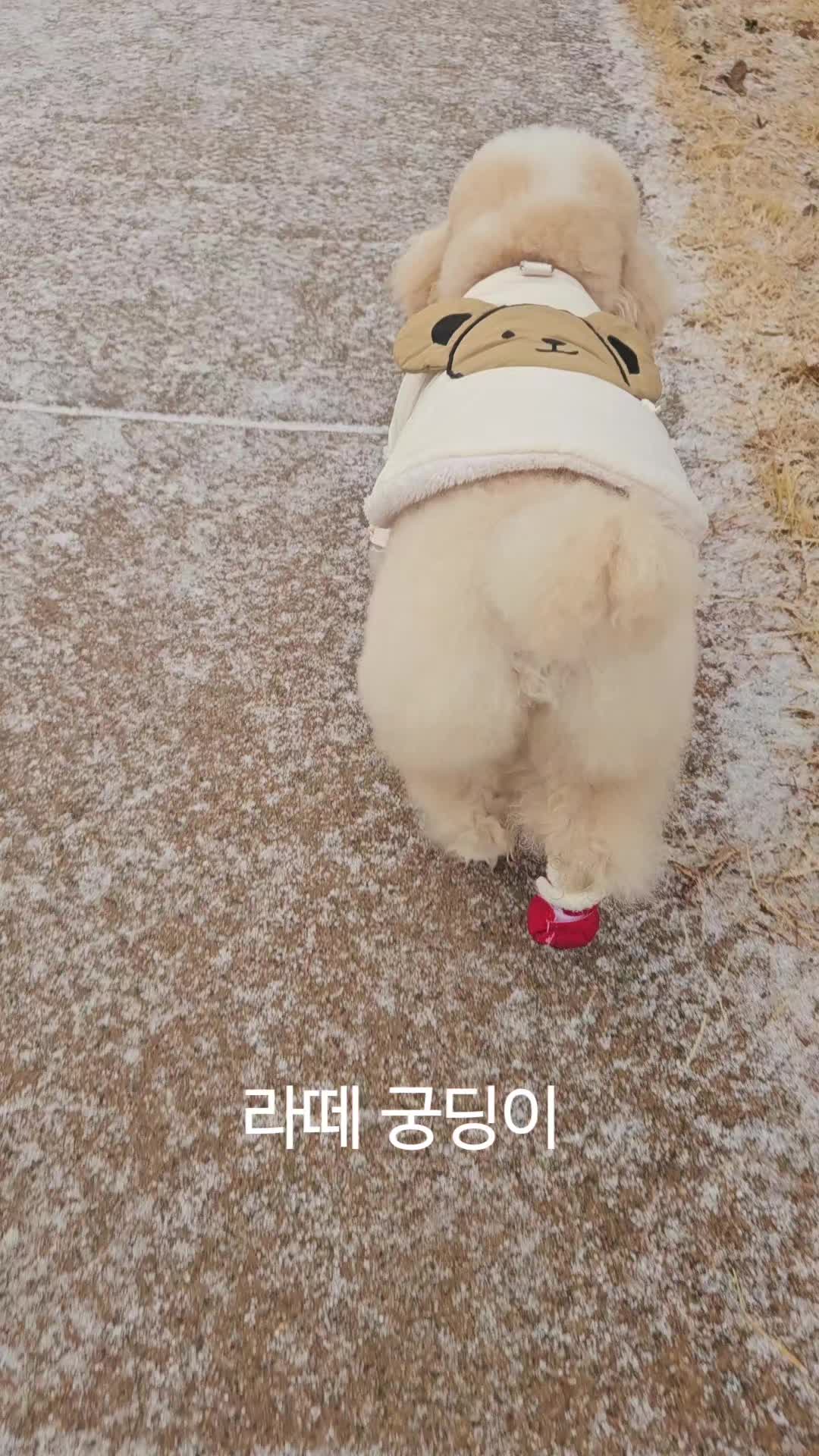 @예쁜라떼