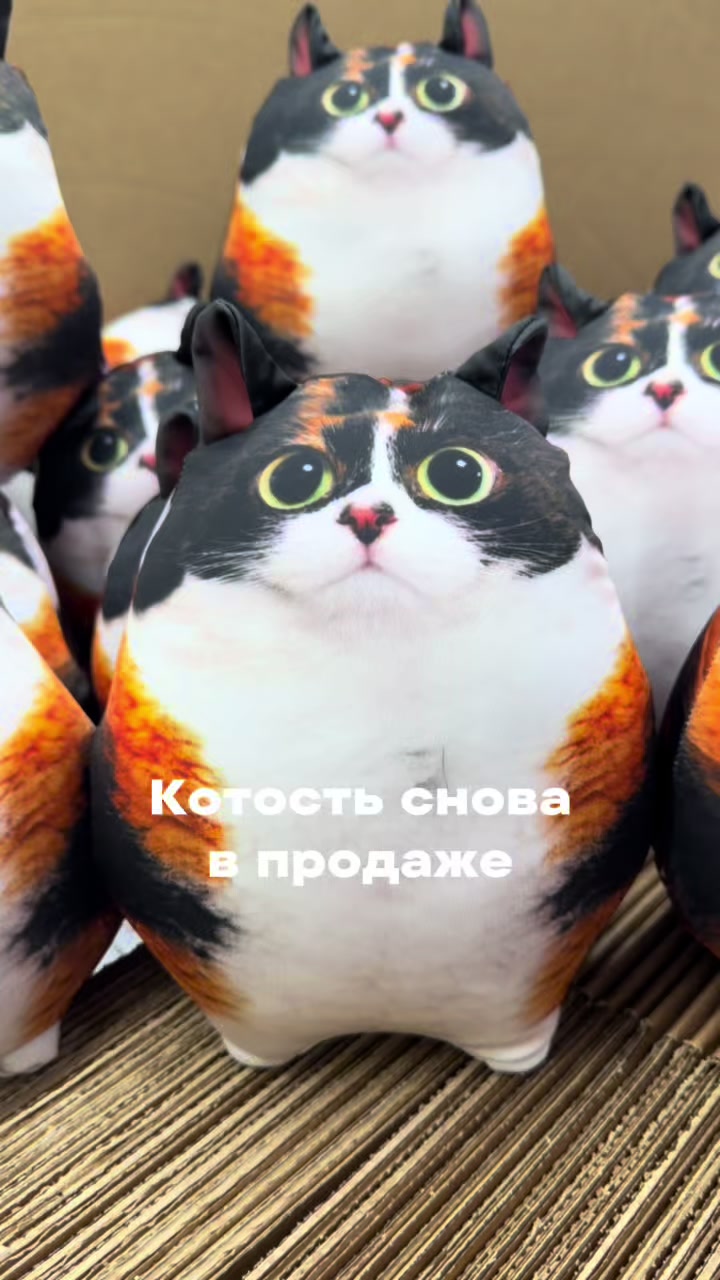 @БЛОПТОП