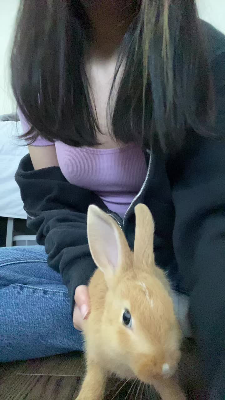 @haleybearr