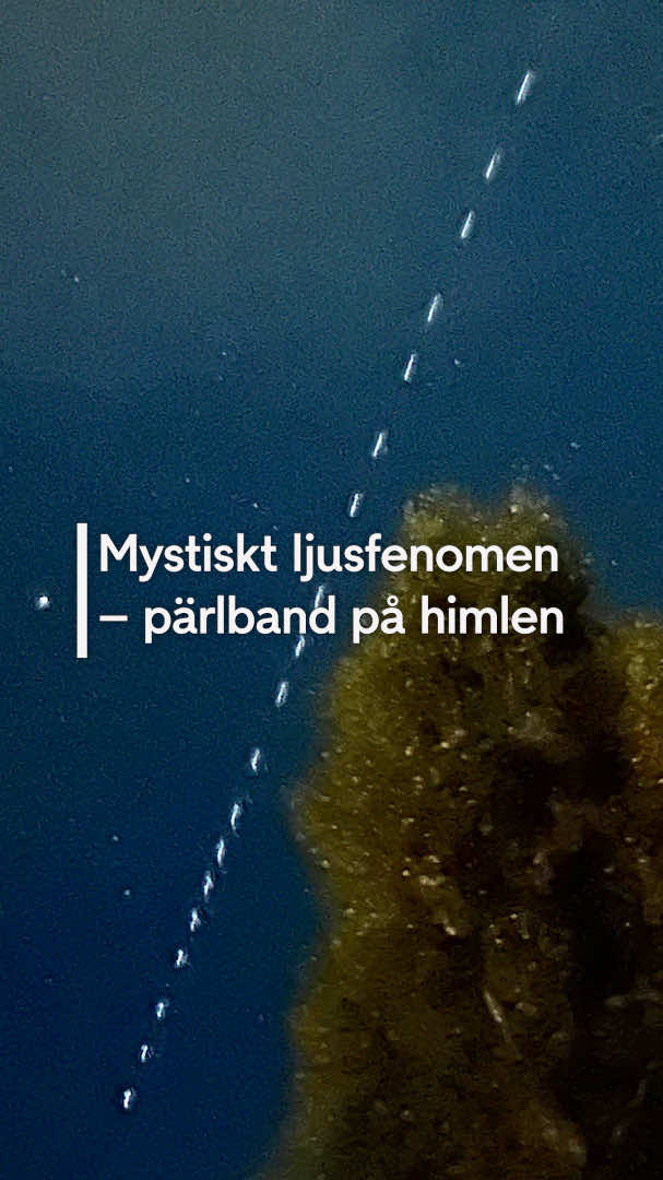 @TV4 Nyheterna