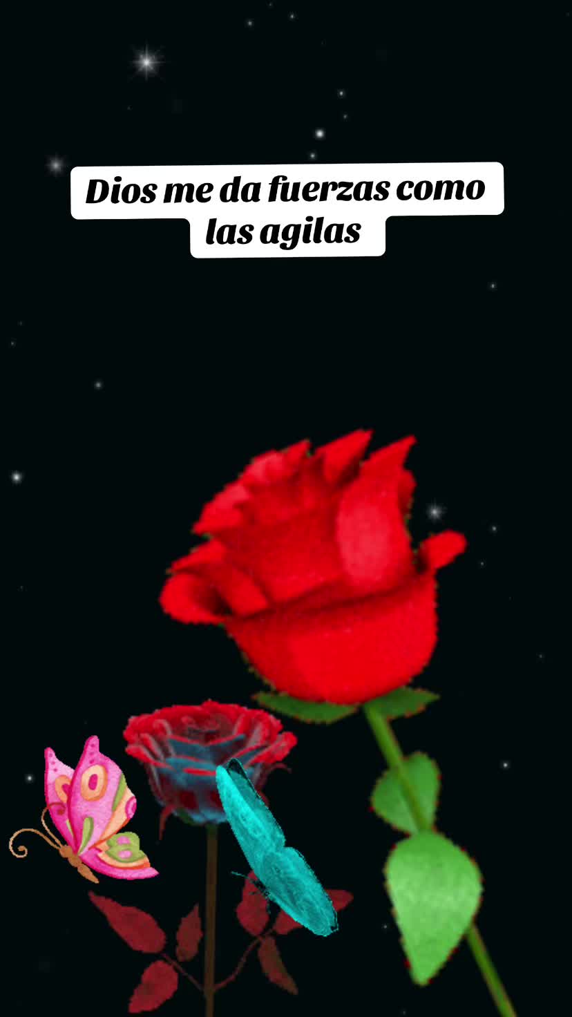 @🙌🏻🦋Sandra🙌🏻🦋