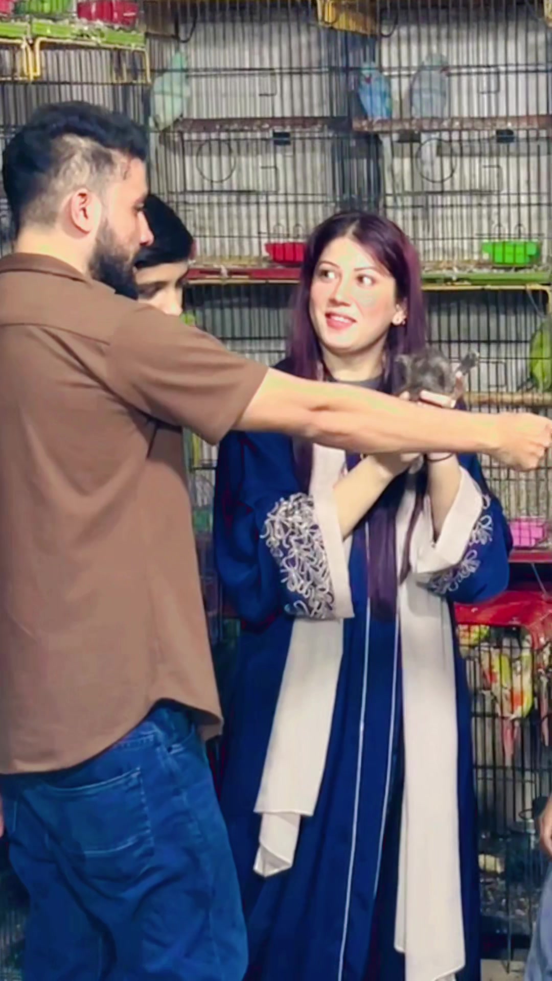 @Usama pet shop Karachi