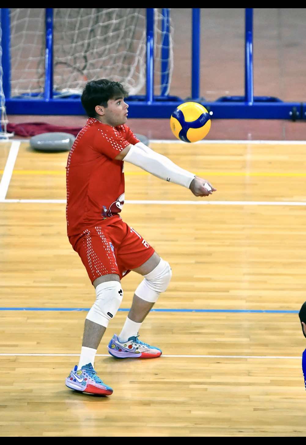 @Luca Scalisi